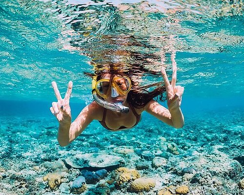 Snorkeling - Sri Lanka